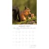 image Country Wildlife 2027 Wall Calendar Second Alternate Image