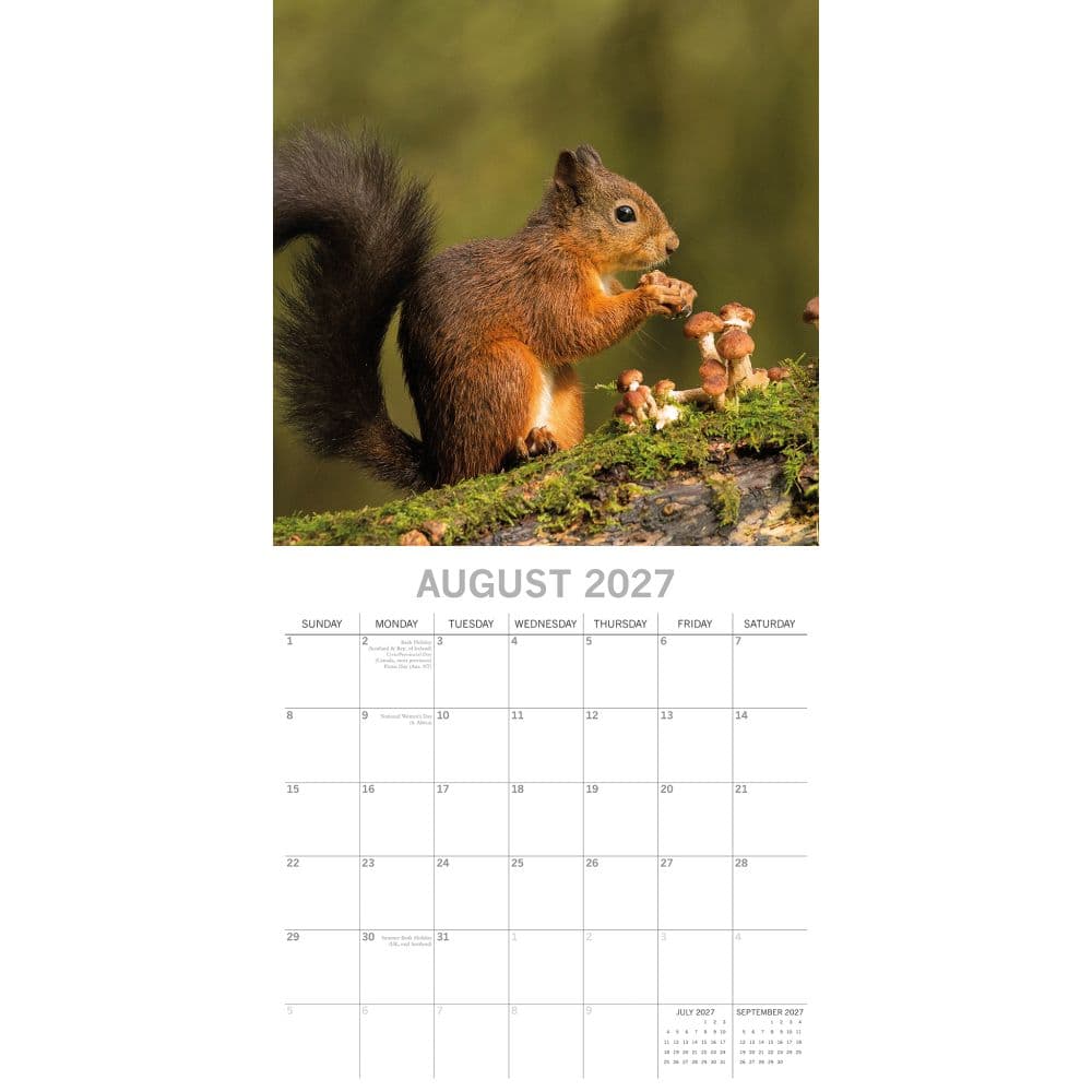 Country Wildlife 2027 Wall Calendar Second Alternate Image