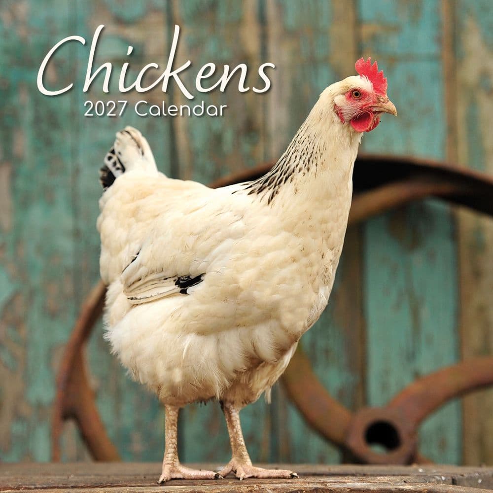 Chickens 2027 Wall Calendar Main Product Image
