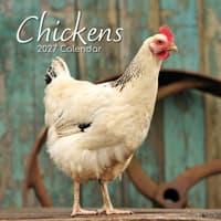 image Chickens 2027 Wall Calendar Main Product Image