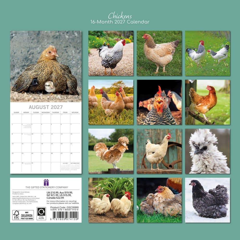 Chickens 2027 Wall Calendar First Alternate Image