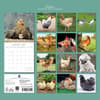 image Chickens 2027 Wall Calendar First Alternate Image