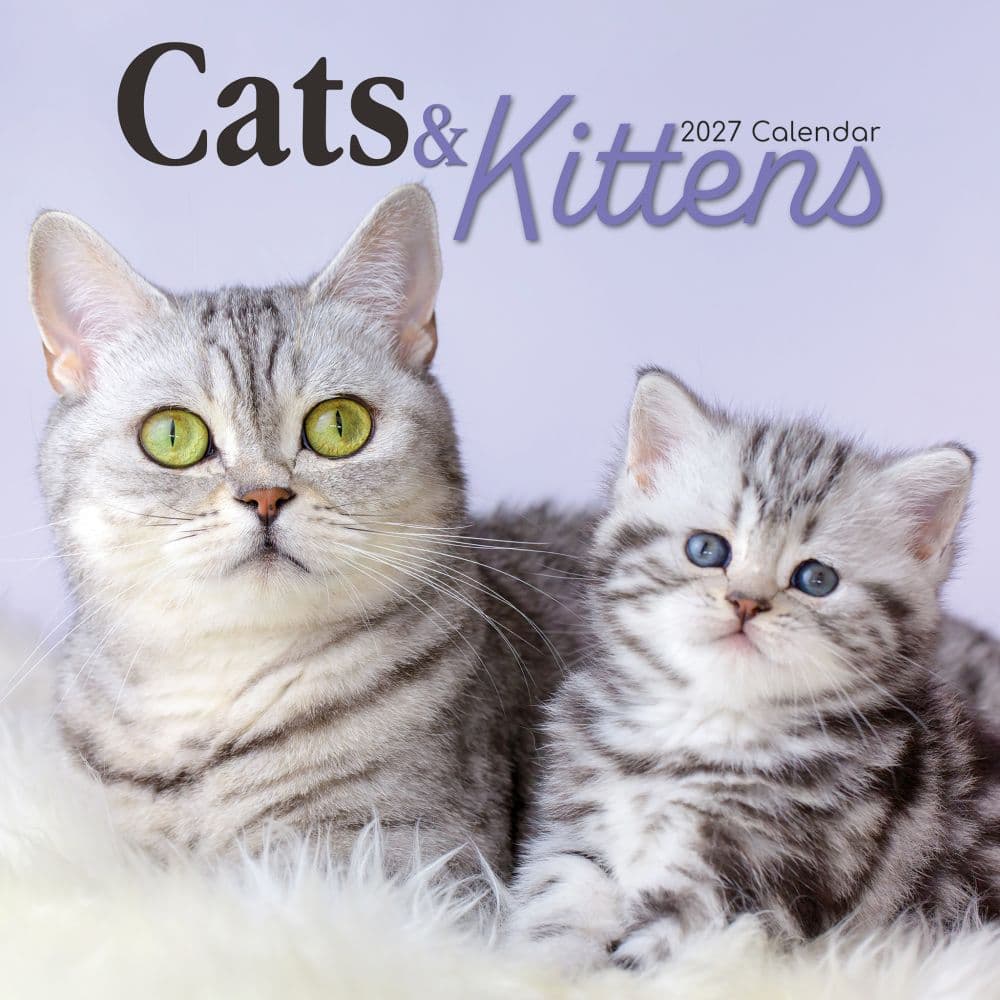 Cats and Kittens 2027 Wall Calendar Main Product Image