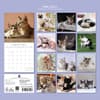 image Cats and Kittens 2027 Wall Calendar First Alternate Image