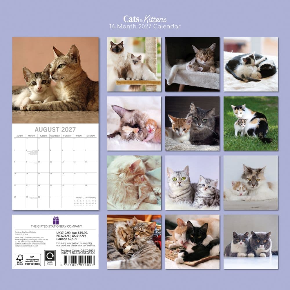 Cats and Kittens 2027 Wall Calendar First Alternate Image