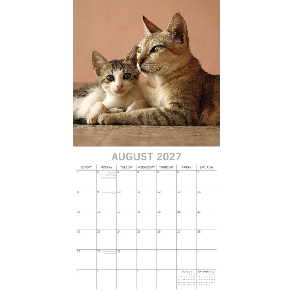 Cats and Kittens 2027 Wall Calendar Second Alternate Image