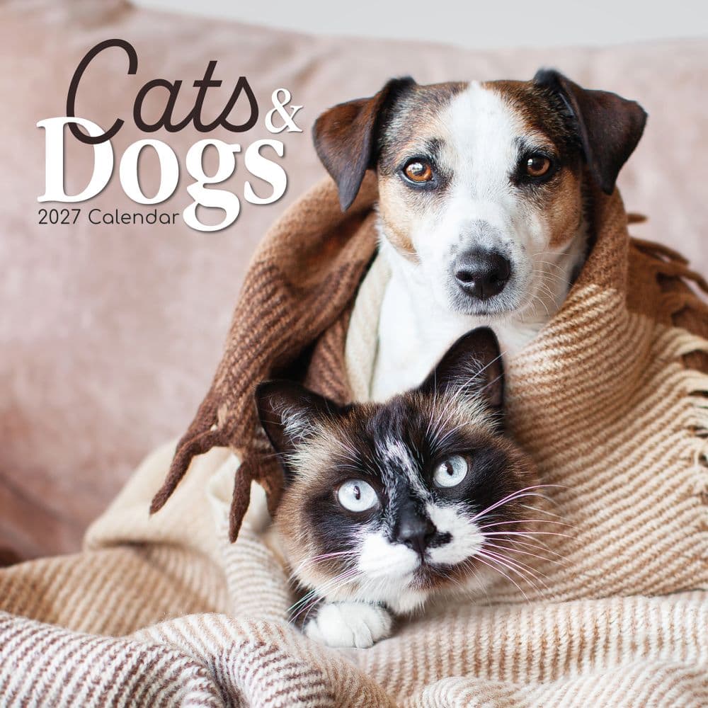 Cats and Dogs 2027 Wall Calendar Main Product Image