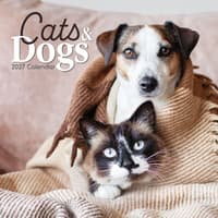 image Cats and Dogs 2027 Wall Calendar Main Product Image