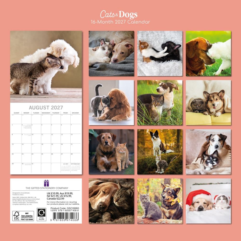 Cats and Dogs 2027 Wall Calendar First Alternate Image