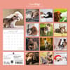 image Cats and Dogs 2027 Wall Calendar First Alternate Image