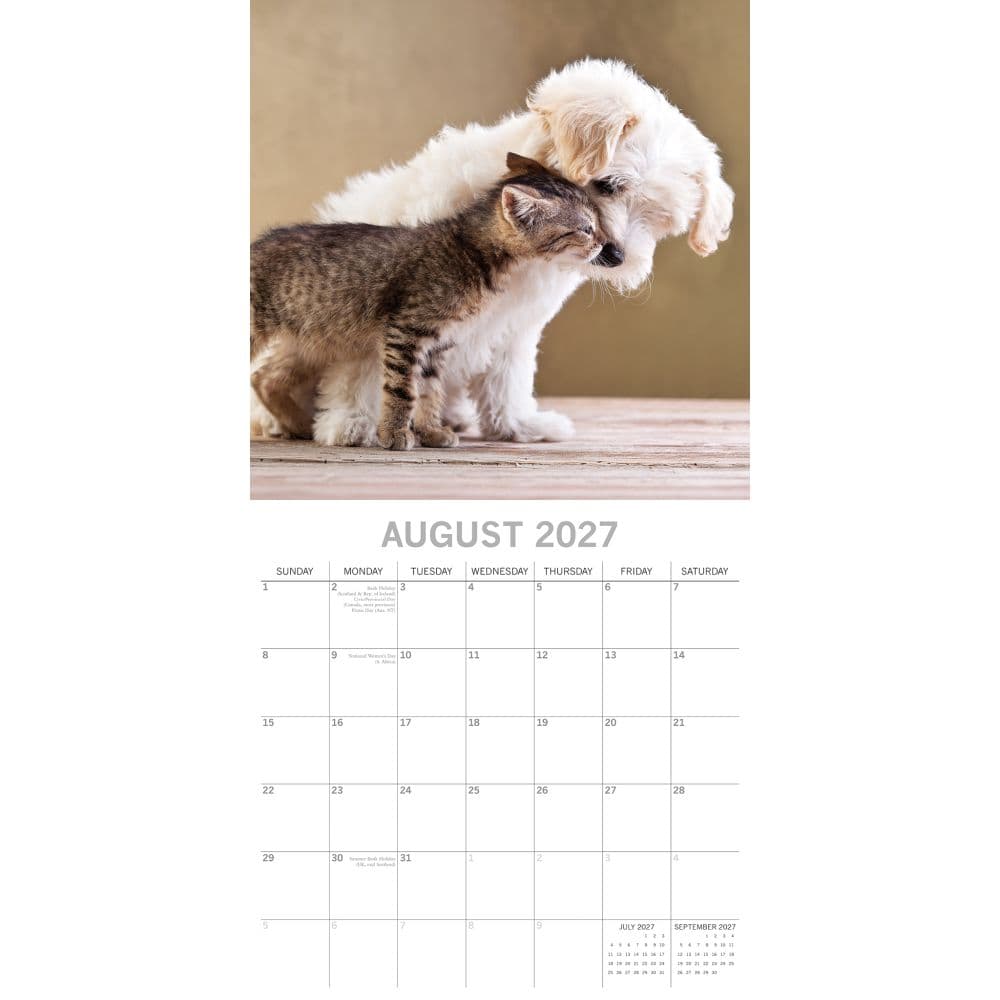 Cats and Dogs 2027 Wall Calendar Second Alternate Image