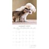 image Cats and Dogs 2027 Wall Calendar Second Alternate Image