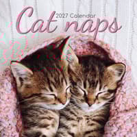 image Cat Naps 2027 Wall Calendar Main Product Image
