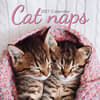 image Cat Naps 2027 Wall Calendar Main Product Image