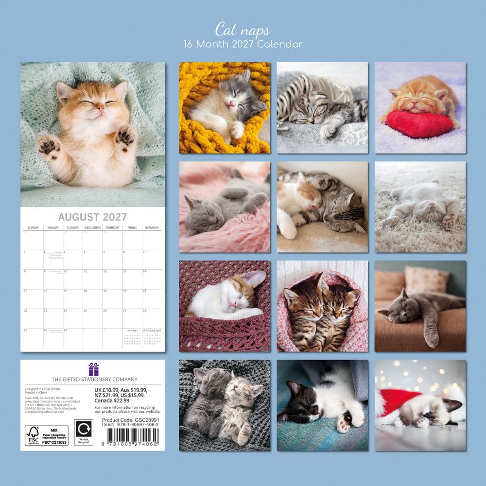 Cat Naps 2027 Wall Calendar First Alternate Image