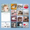 image Cat Naps 2027 Wall Calendar First Alternate Image