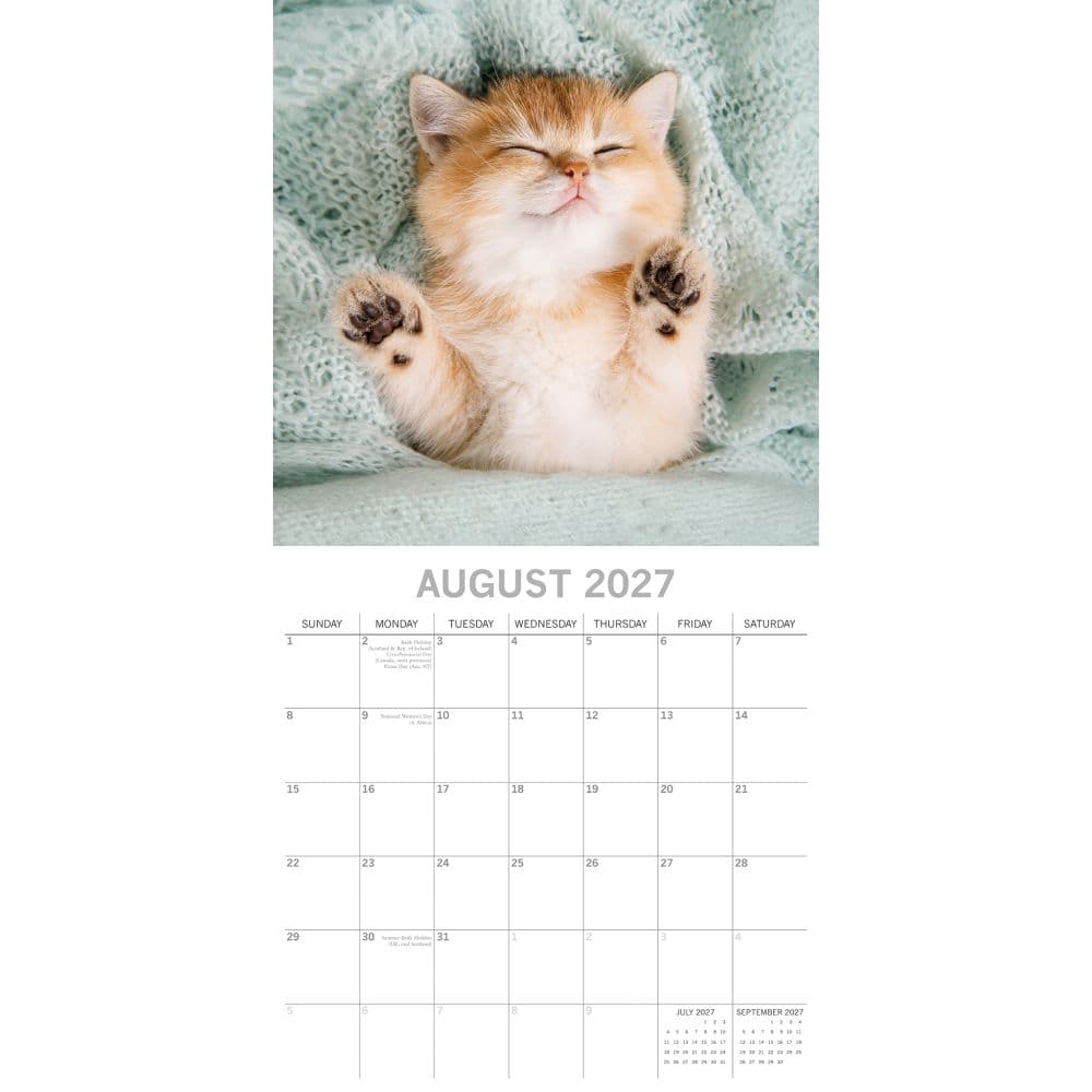 Cat Naps 2027 Wall Calendar Second Alternate Image
