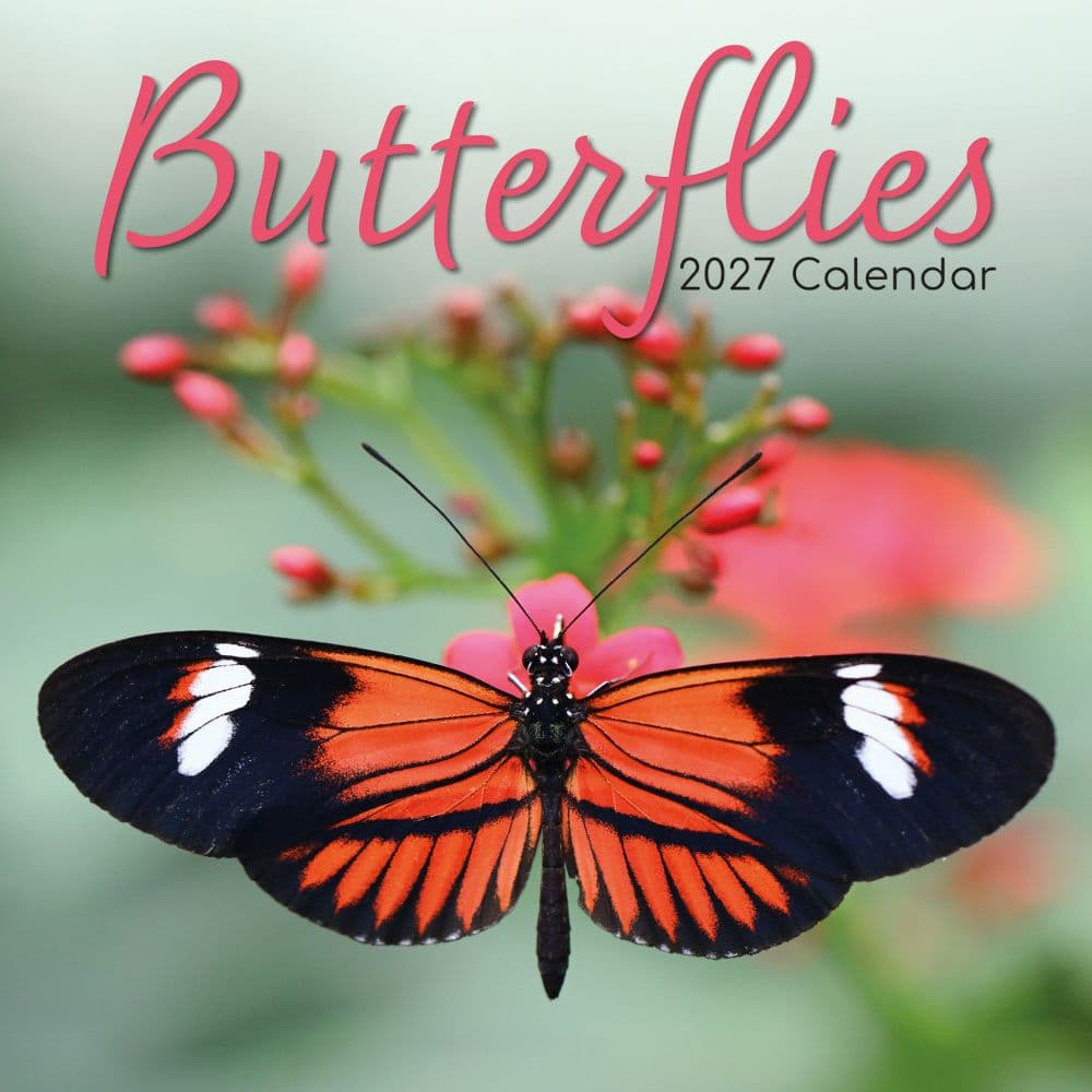image Butterflies 2027 Wall Calendar Main Product Image
