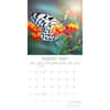 image Butterflies 2027 Wall Calendar Second Alternate Image