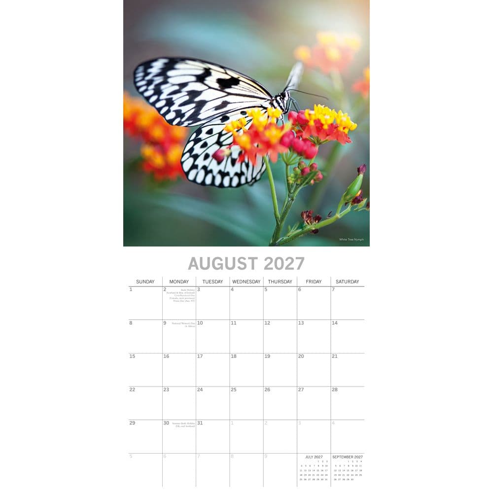 Butterflies 2027 Wall Calendar Second Alternate Image