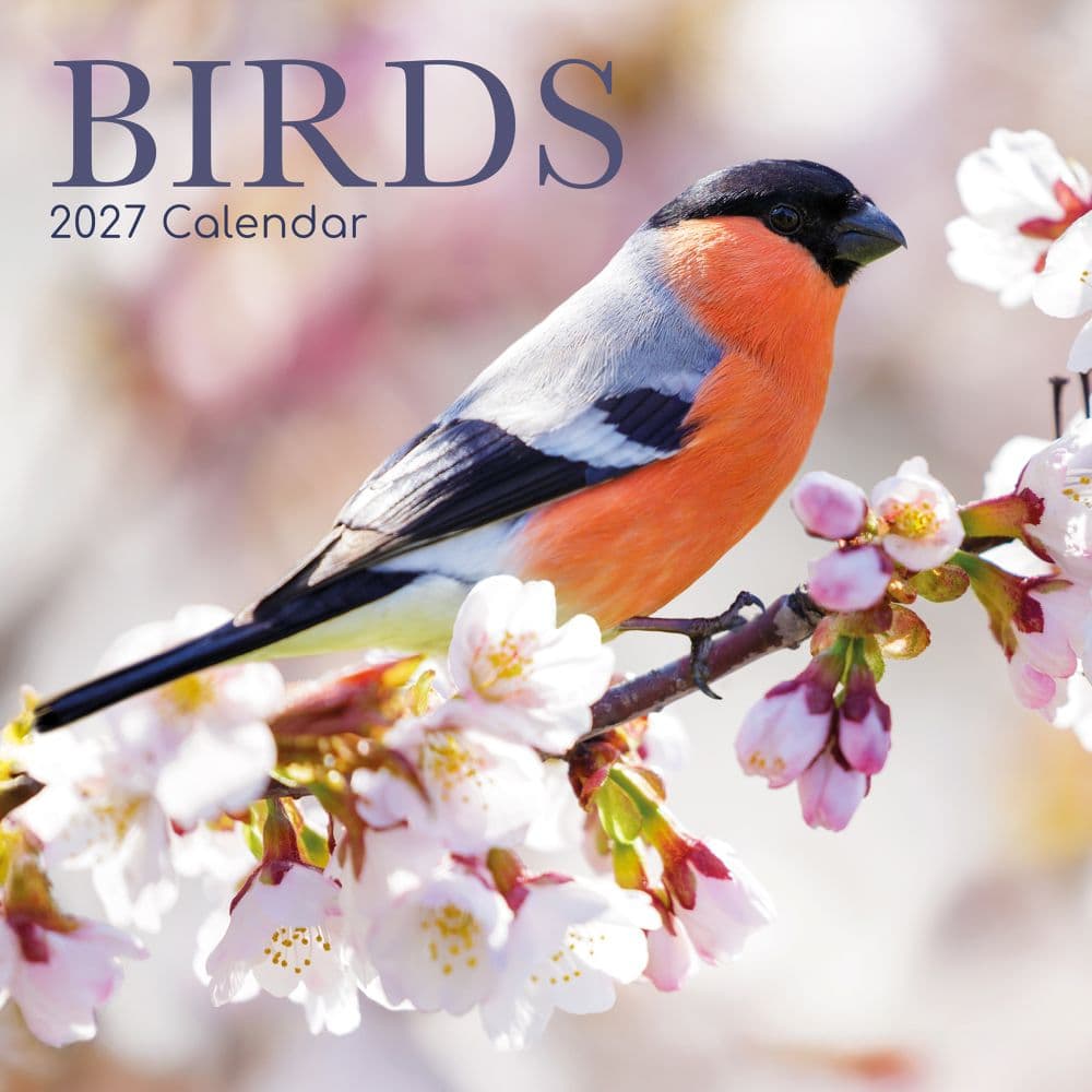 Birds 2027 Wall Calendar Main Product Image