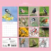 image Birds 2027 Wall Calendar First Alternate Image