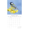 image Birds 2027 Wall Calendar Second Alternate Image