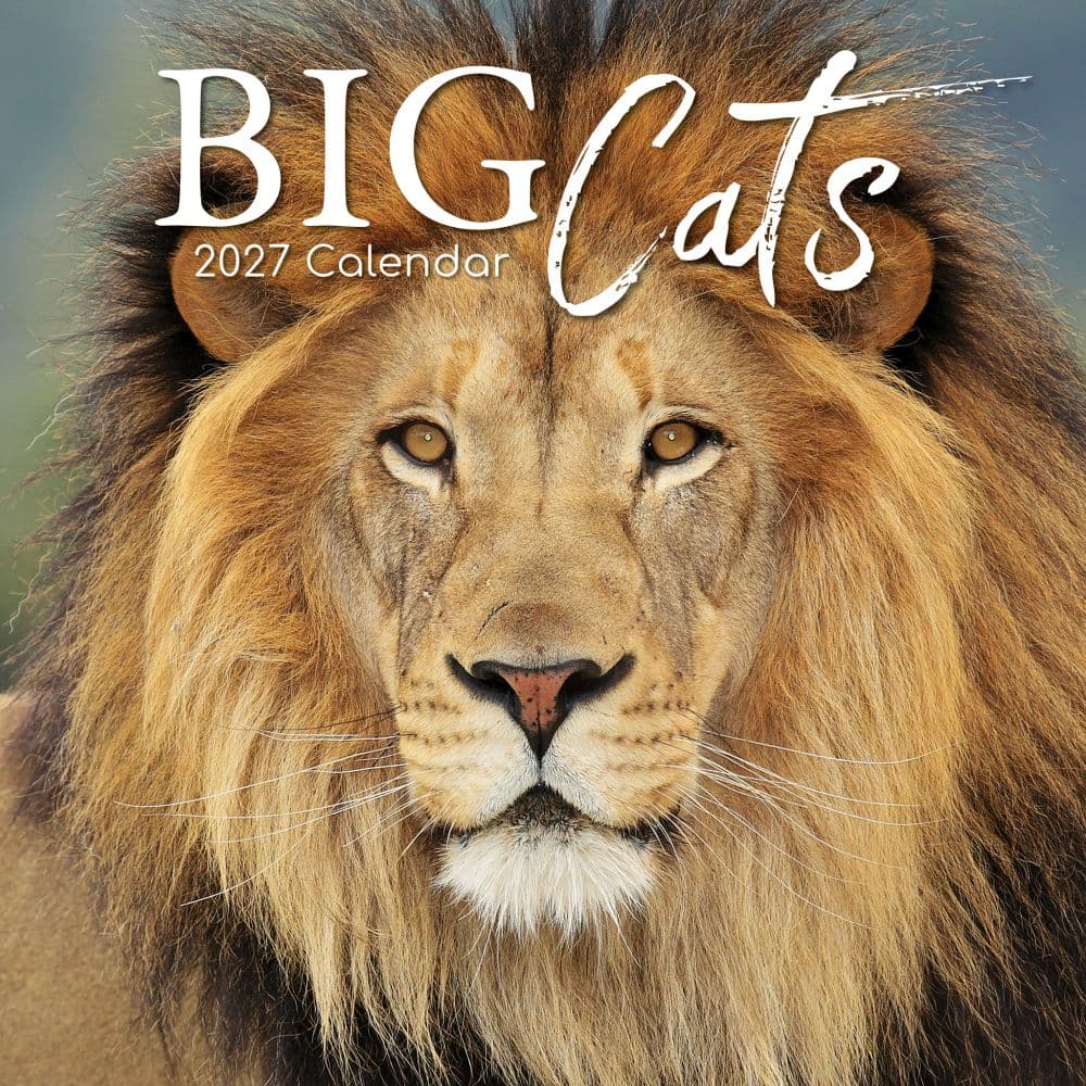 Big Cats 2027 Wall Calendar Main Product Image
