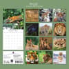 image Big Cats 2027 Wall Calendar First Alternate Image