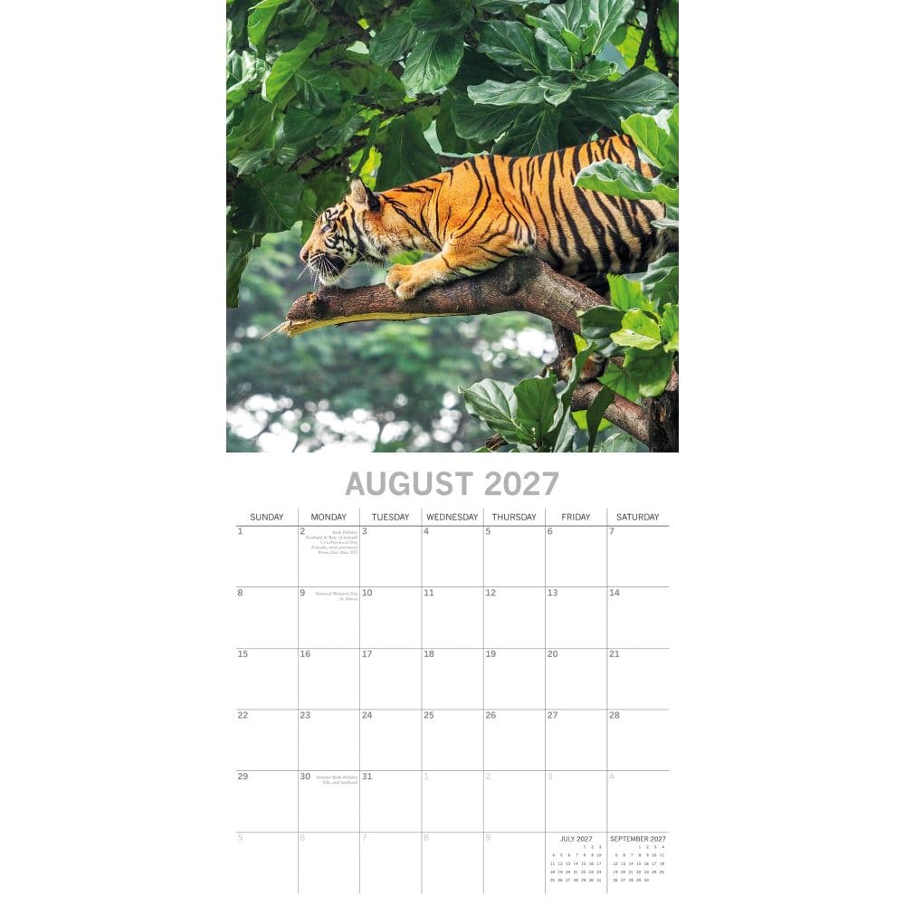 Big Cats 2027 Wall Calendar Second Alternate Image