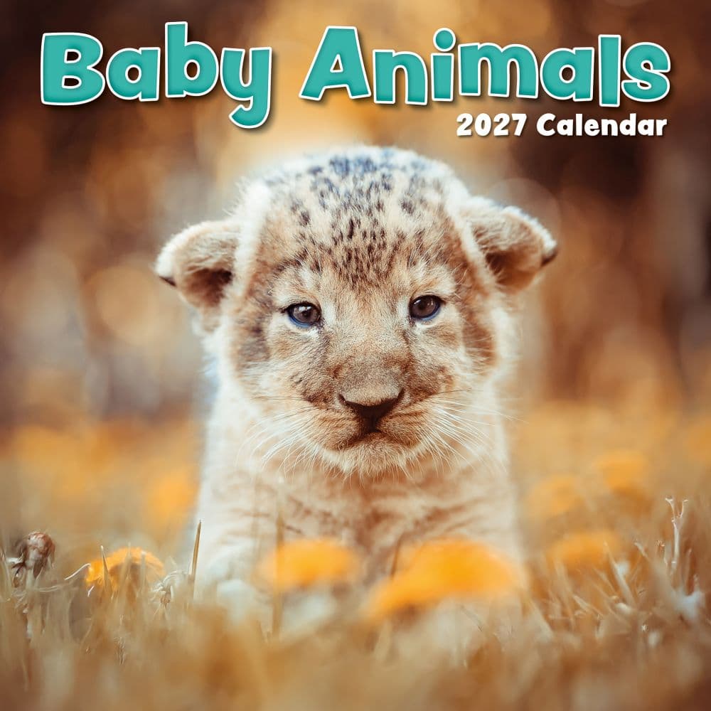 image Baby Animals 2027 Wall Calendar Main Product Image