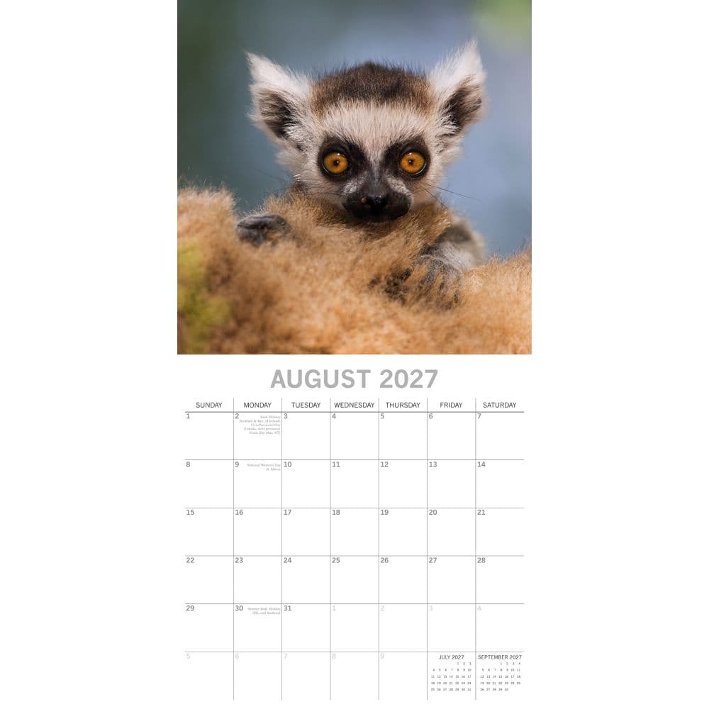 Baby Animals 2027 Wall Calendar Second Alternate Image