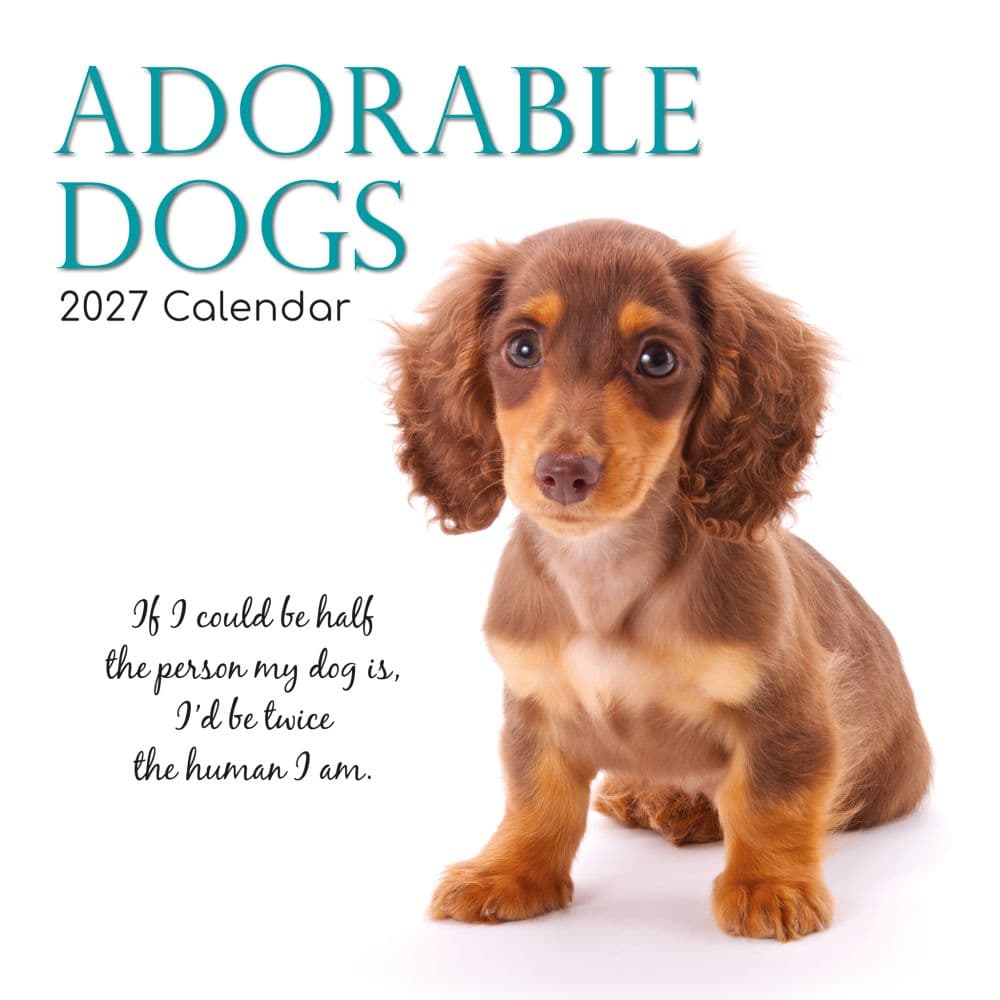 Adorable Dogs 2027 Wall Calendar Main Product Image