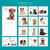 image Adorable Dogs 2027 Wall Calendar First Alternate Image