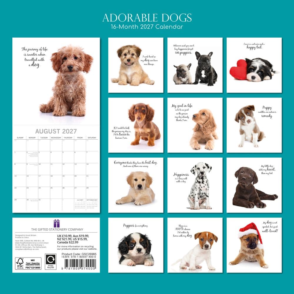 Adorable Dogs 2027 Wall Calendar First Alternate Image