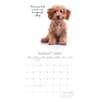 image Adorable Dogs 2027 Wall Calendar Second Alternate Image