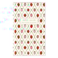 image Fun Pattern 2027 2 Year Pocket Planner Main Product Image