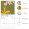 image Flower Pop 2027 Wall Calendar Second Alternate Image