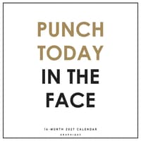 image Punch Today in the Face 2027 Wall Calendar Main Product Image