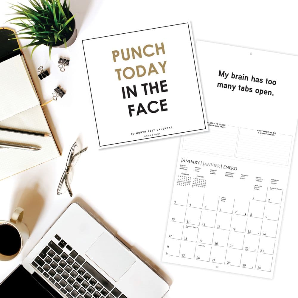 Punch Today in the Face 2027 Wall Calendar Third Alternate Image