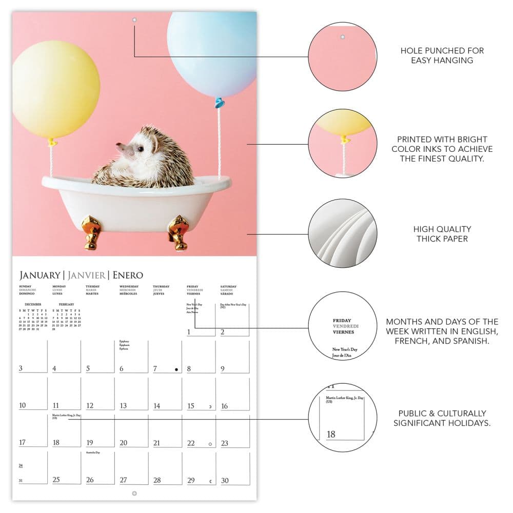 Happiest Hedgehogs 2027 Wall Calendar Second Alternate Image