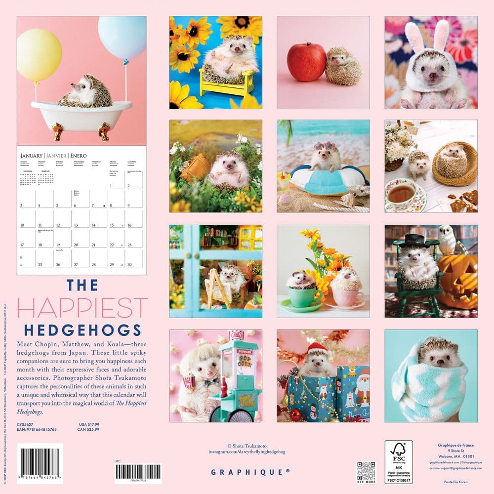 Happiest Hedgehogs 2027 Wall Calendar First Alternate Image