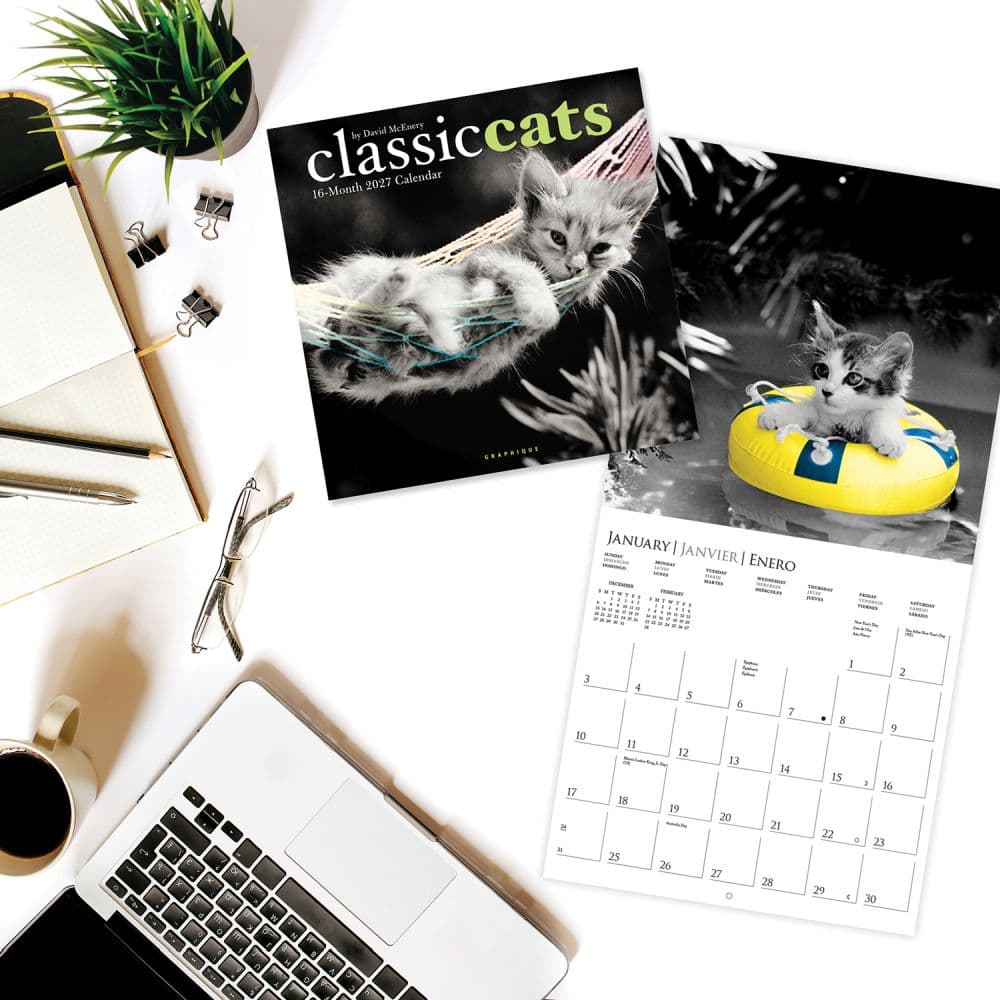 Classic Cats 2027 Wall Calendar Third Alternate Image