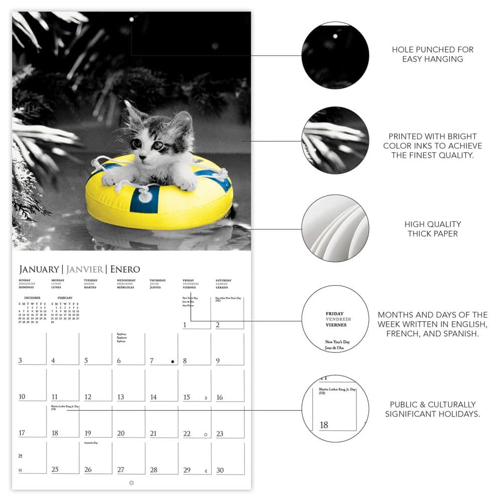 Classic Cats 2027 Wall Calendar Second Alternate Image