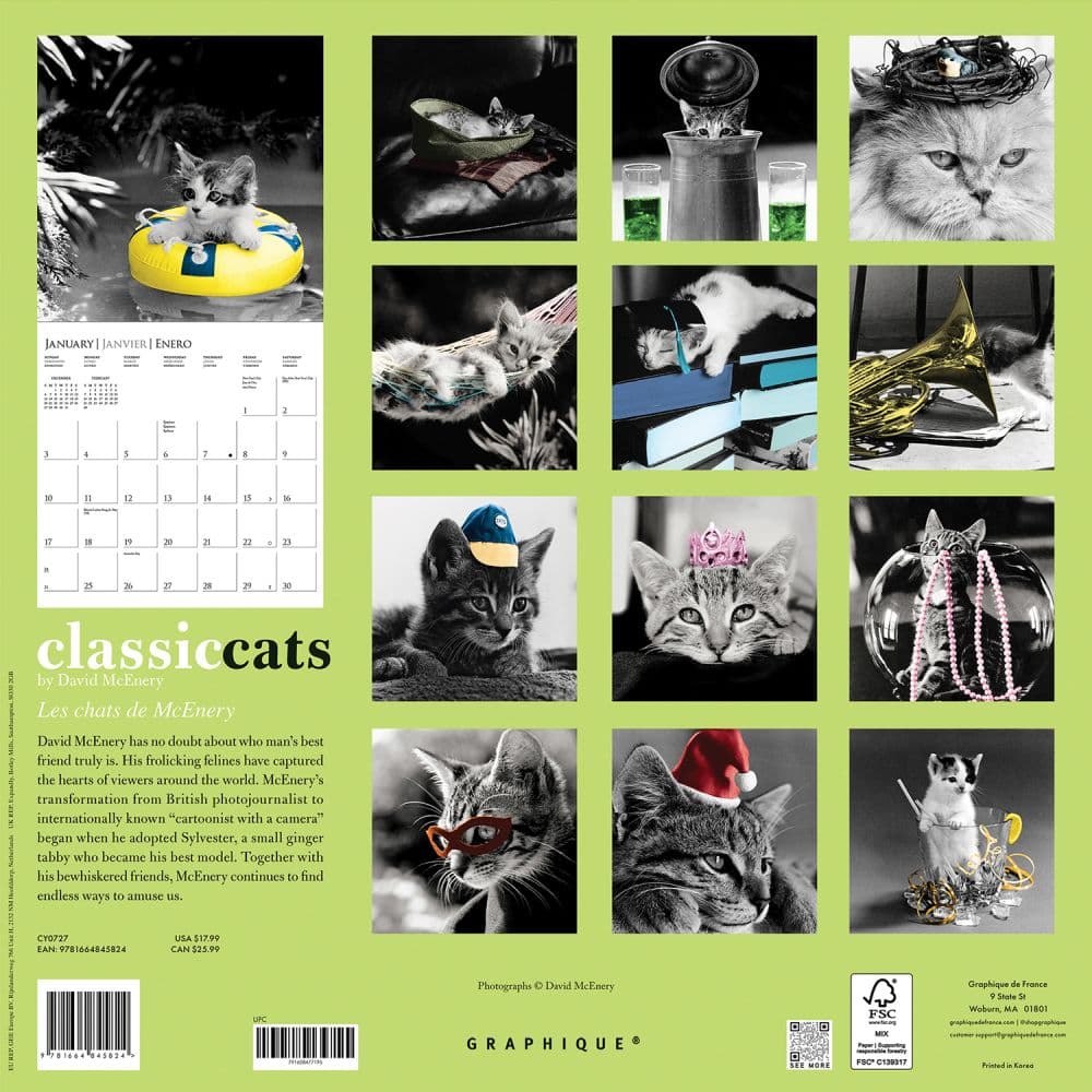 Classic Cats 2027 Wall Calendar First Alternate Image