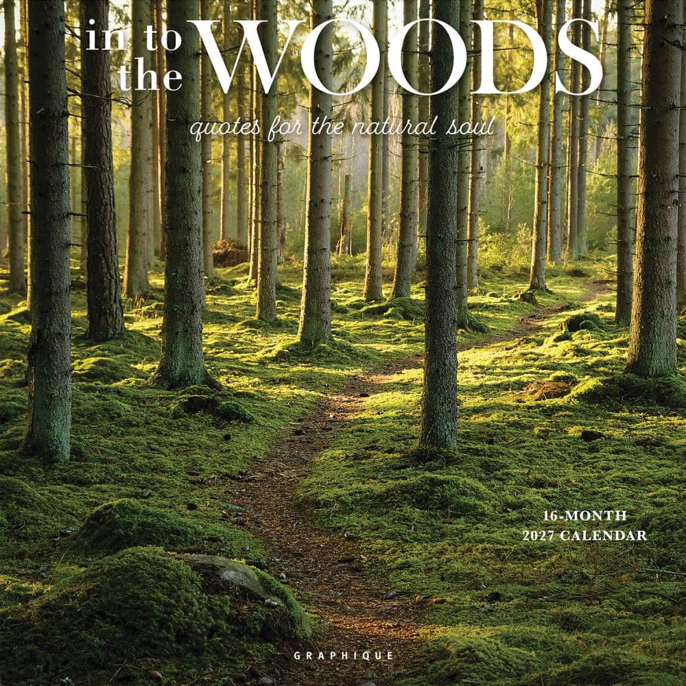 In to the Woods 2027 Wall Calendar Main Product Image