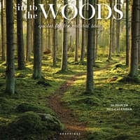 image In to the Woods 2027 Wall Calendar Main Product Image