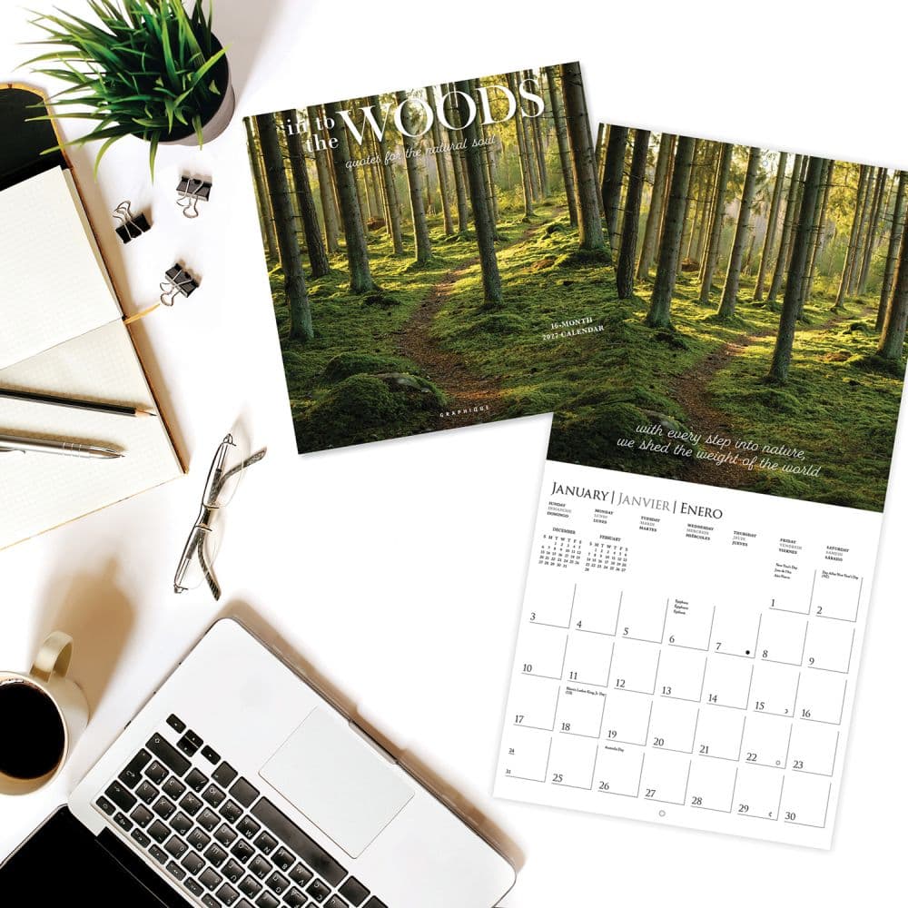 In to the Woods 2027 Wall Calendar Third Alternate Image