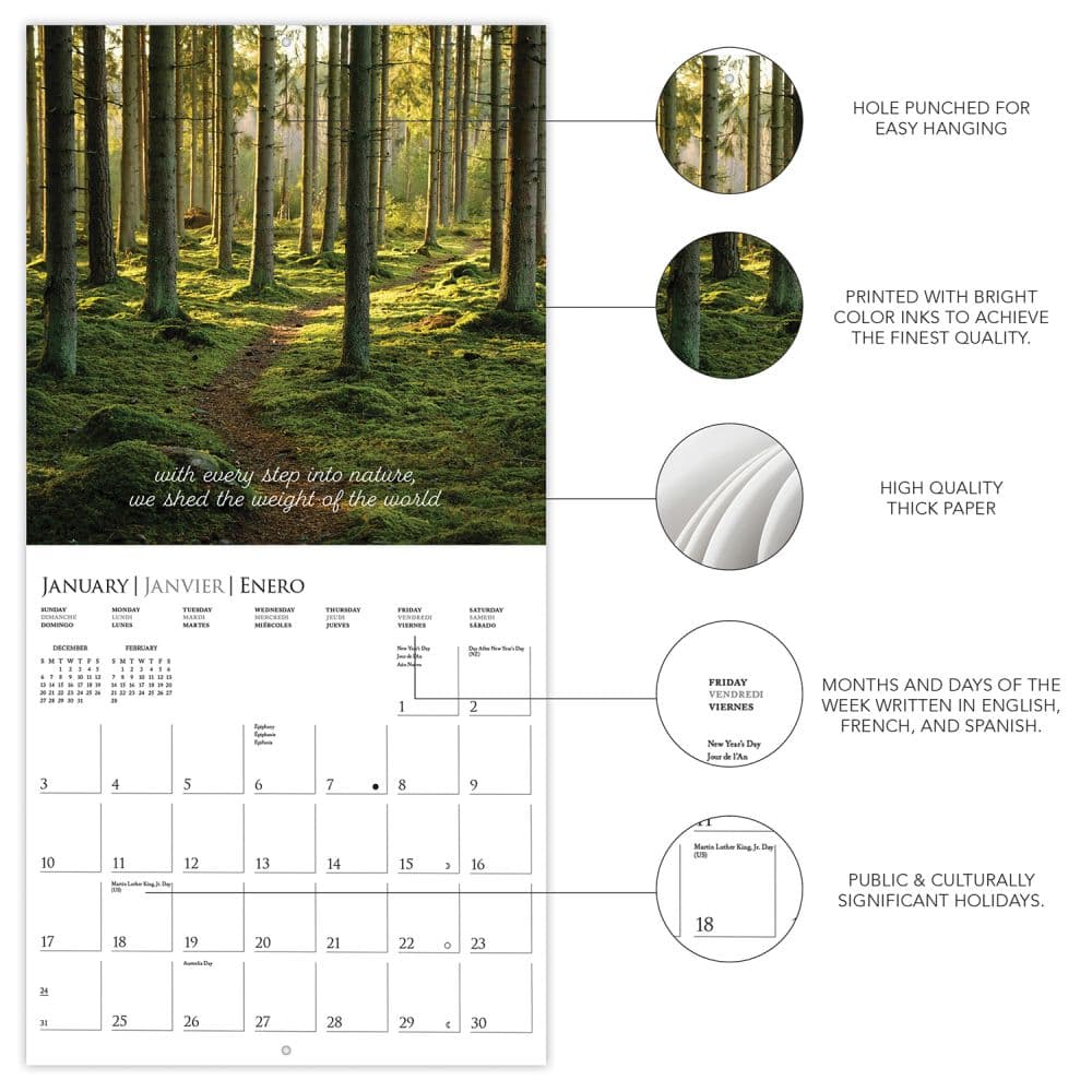 In to the Woods 2027 Wall Calendar Second Alternate Image