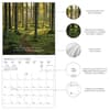 image In to the Woods 2027 Wall Calendar Second Alternate Image